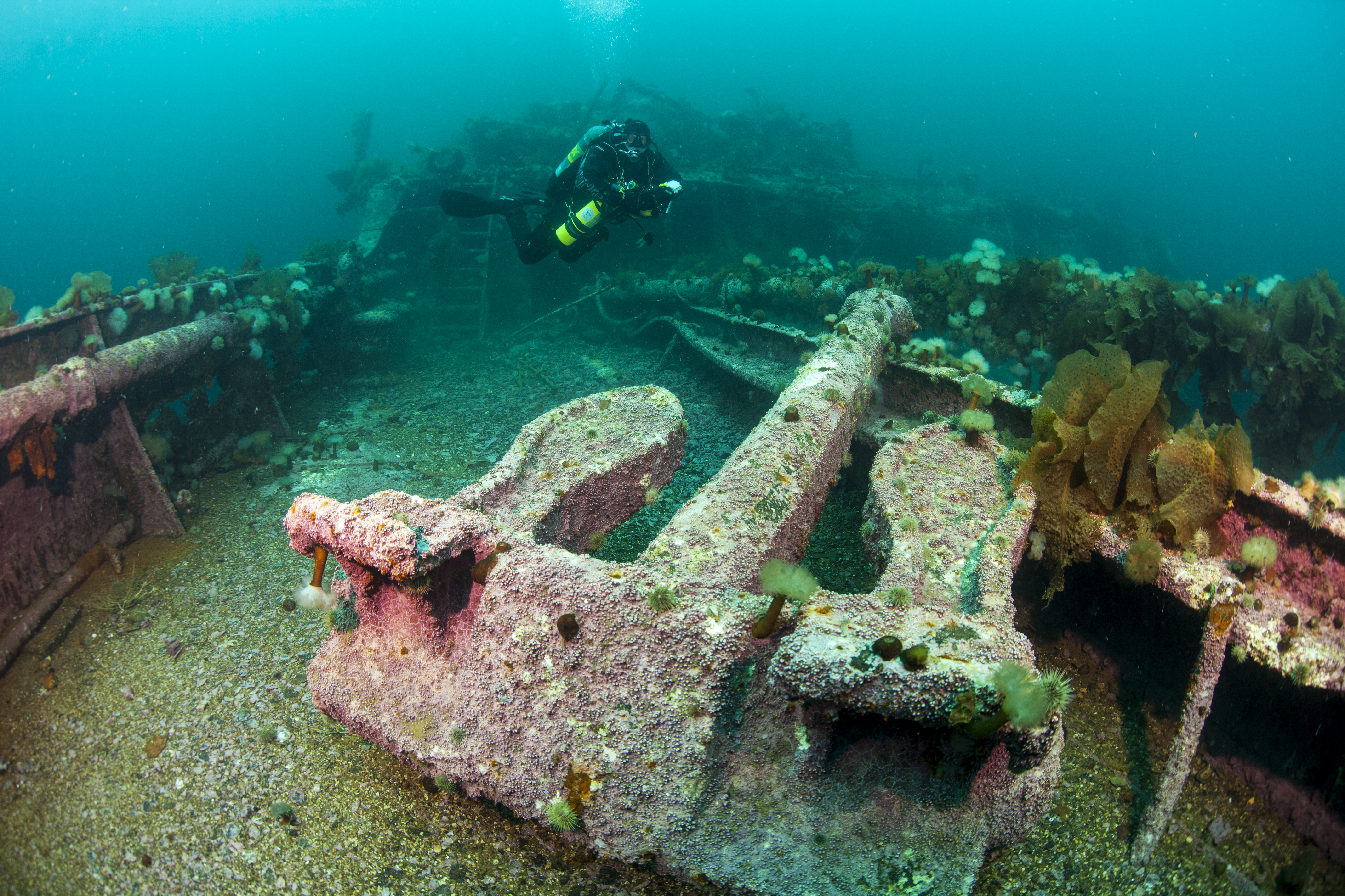 Saganaga Anchor